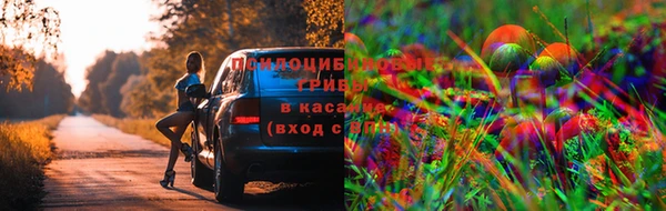 mdpv Беломорск