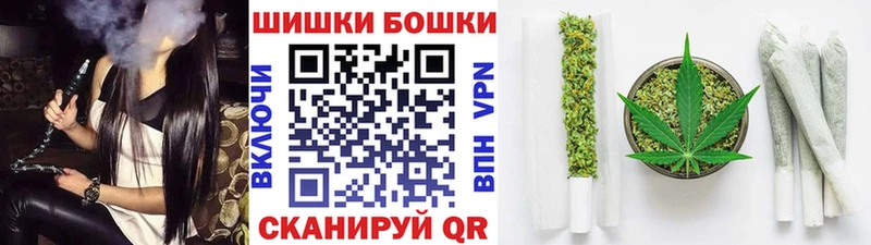 Конопля сатива Беломорск